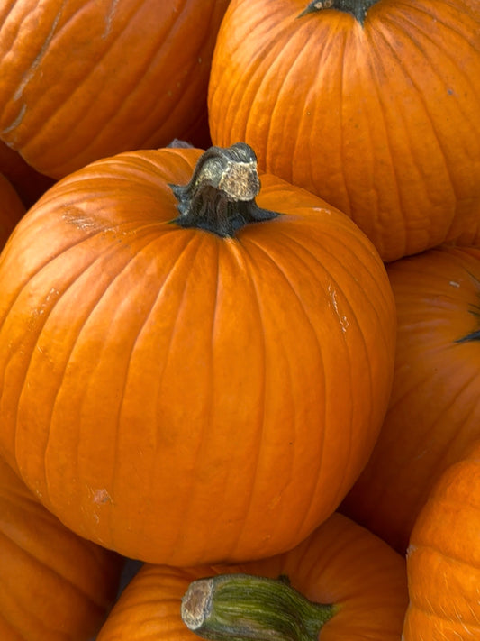 Halloween Pre-Order