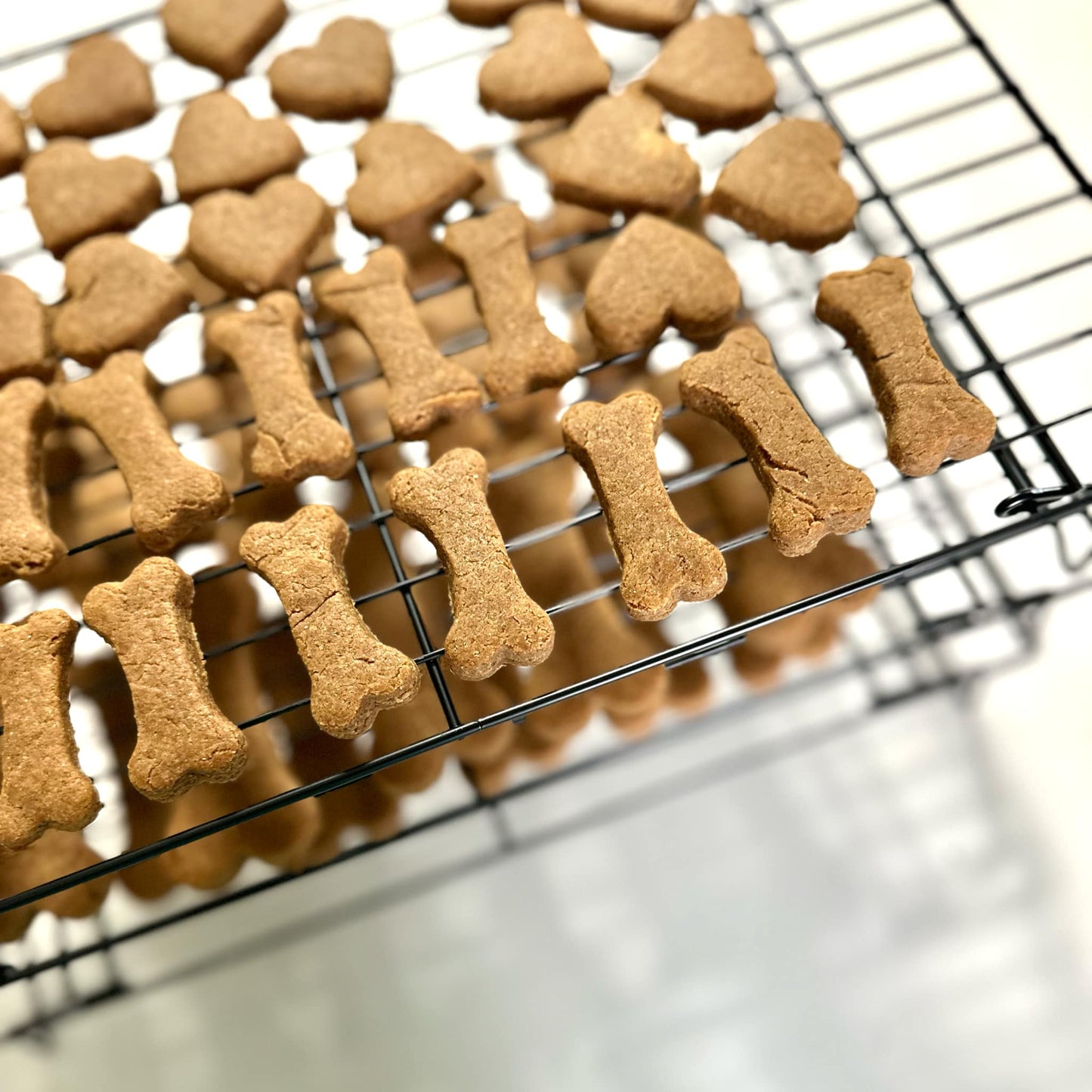 Crunchy Dog Treat - Peanut Butter Flavor